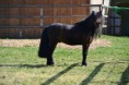 /album/timo/a2012-04-02-31-timo-jpg/